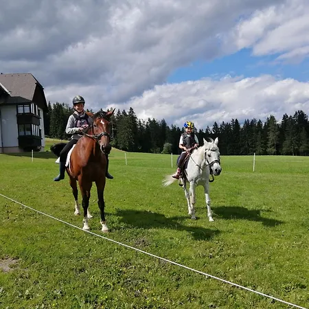 Erholung Am Bauernhof Bei Familie Seidl / Messner * Zeutschach