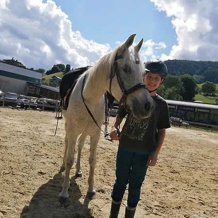 Erholung Am Bauernhof Bei Familie Seidl / Messner