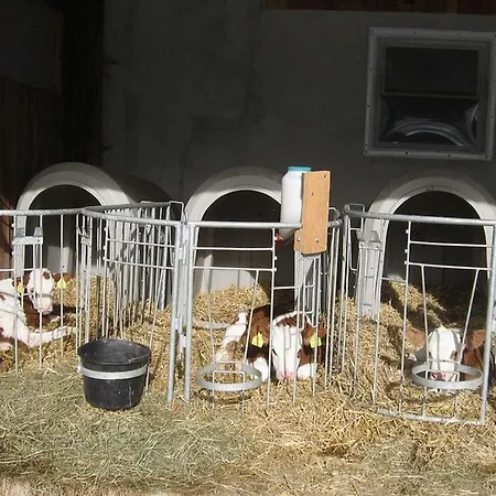 Hotel Erholung Am Bauernhof Bei Familie Seidl / Messner Zeutschach