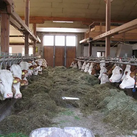 Erholung Am Bauernhof Bei Familie Seidl / Messner Farm stay Zeutschach