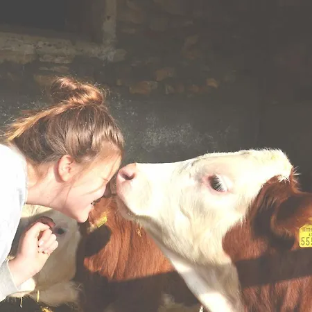 Erholung Am Bauernhof Bei Familie Seidl / Messner Zeutschach