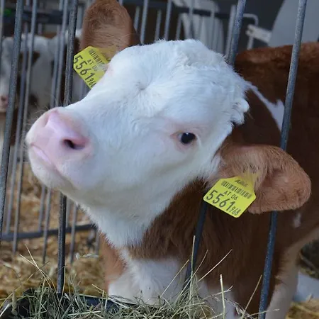 Hotel Erholung Am Bauernhof Bei Familie Seidl / Messner
