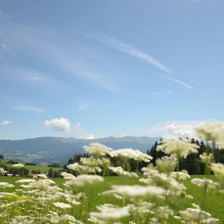 Erholung Am Bauernhof Bei Familie Seidl / Messner Hotel