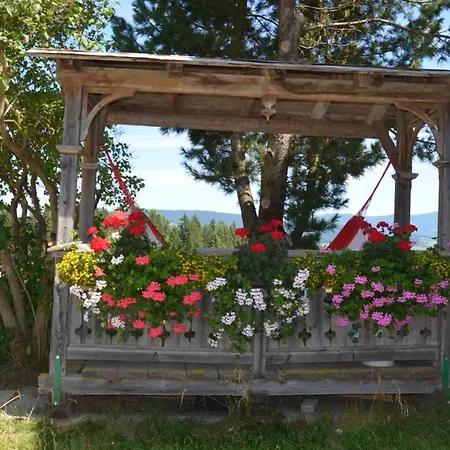 Erholung Am Bauernhof Bei Familie Seidl / Messner * Zeutschach