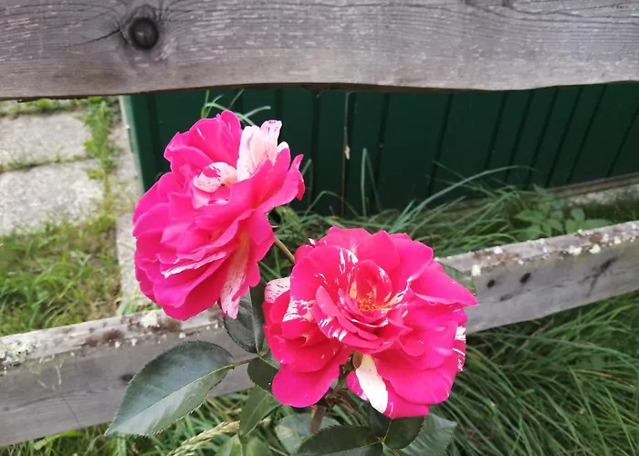 Erholung Am Bauernhof Bei Familie Seidl / Messner Hotel