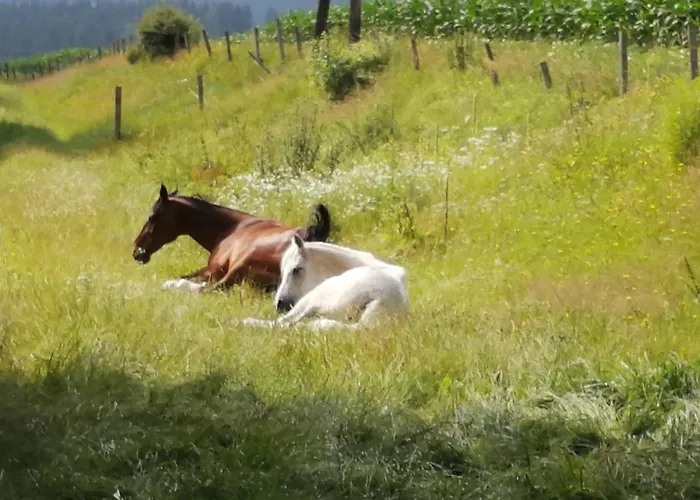 Hotel Erholung Am Bauernhof Bei Familie Seidl / Messner *