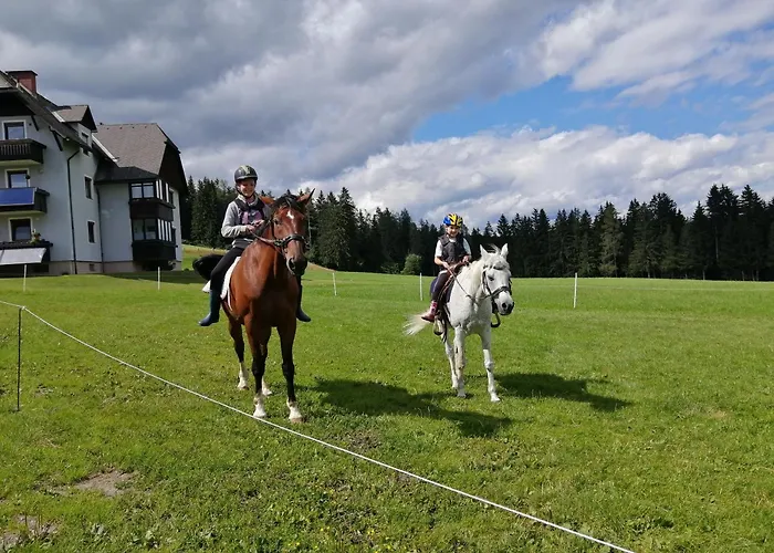 Erholung Am Bauernhof Bei Familie Seidl / Messner * Zeutschach