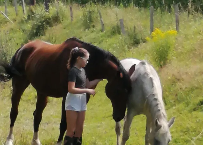 Erholung Am Bauernhof Bei Familie Seidl / Messner Zeutschach
