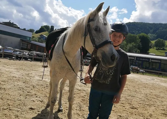 Erholung Am Bauernhof Bei Familie Seidl / Messner