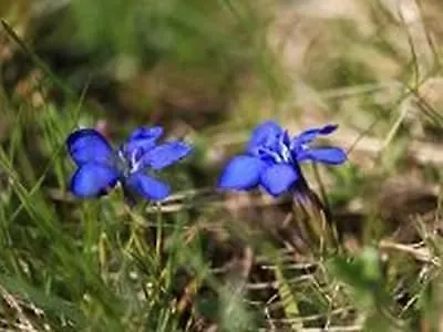 Hotel Erholung Am Bauernhof Bei Familie Seidl / Messner Zeutschach