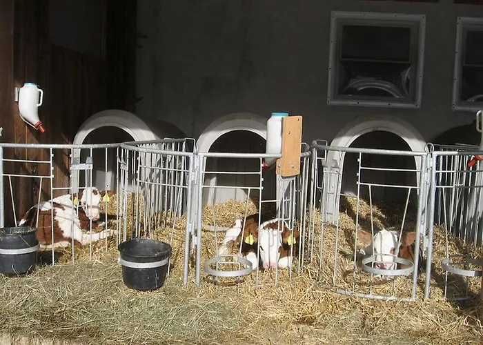 Hotel Erholung Am Bauernhof Bei Familie Seidl / Messner Zeutschach