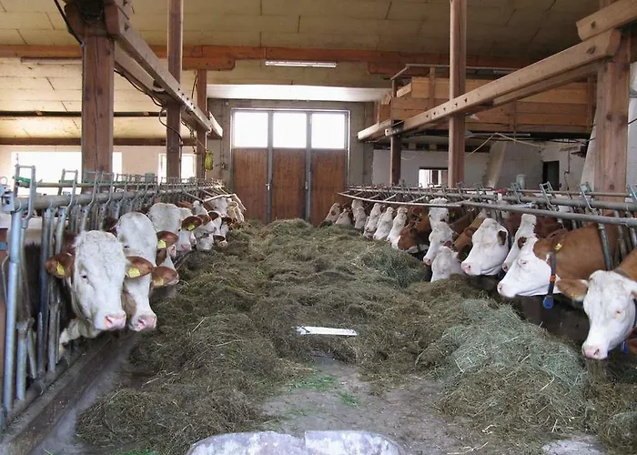 Erholung Am Bauernhof Bei Familie Seidl / Messner Hotel Zeutschach