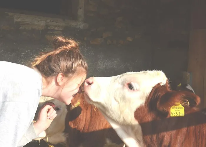 Erholung Am Bauernhof Bei Familie Seidl / Messner Zeutschach