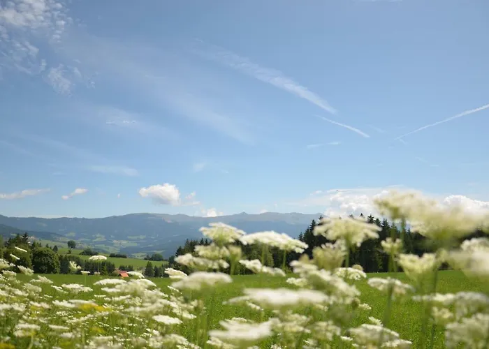 Erholung Am Bauernhof Bei Familie Seidl / Messner Hotel